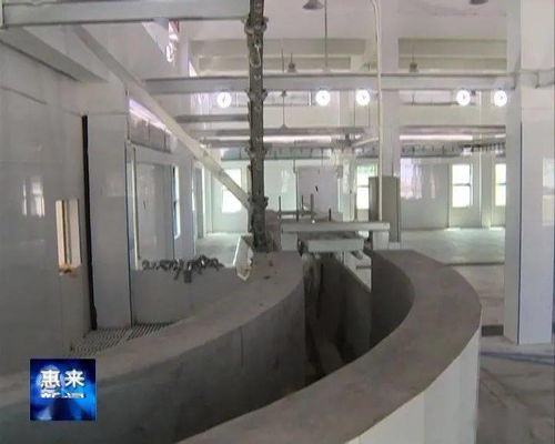 縣食品倉儲中心和機械化肉聯(lián)廠建成并試運營